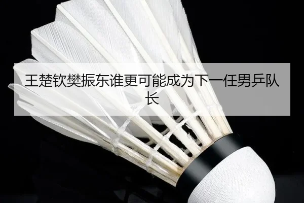 王楚钦樊振东谁更可能成为下一任男乒队长 | www.hth.com